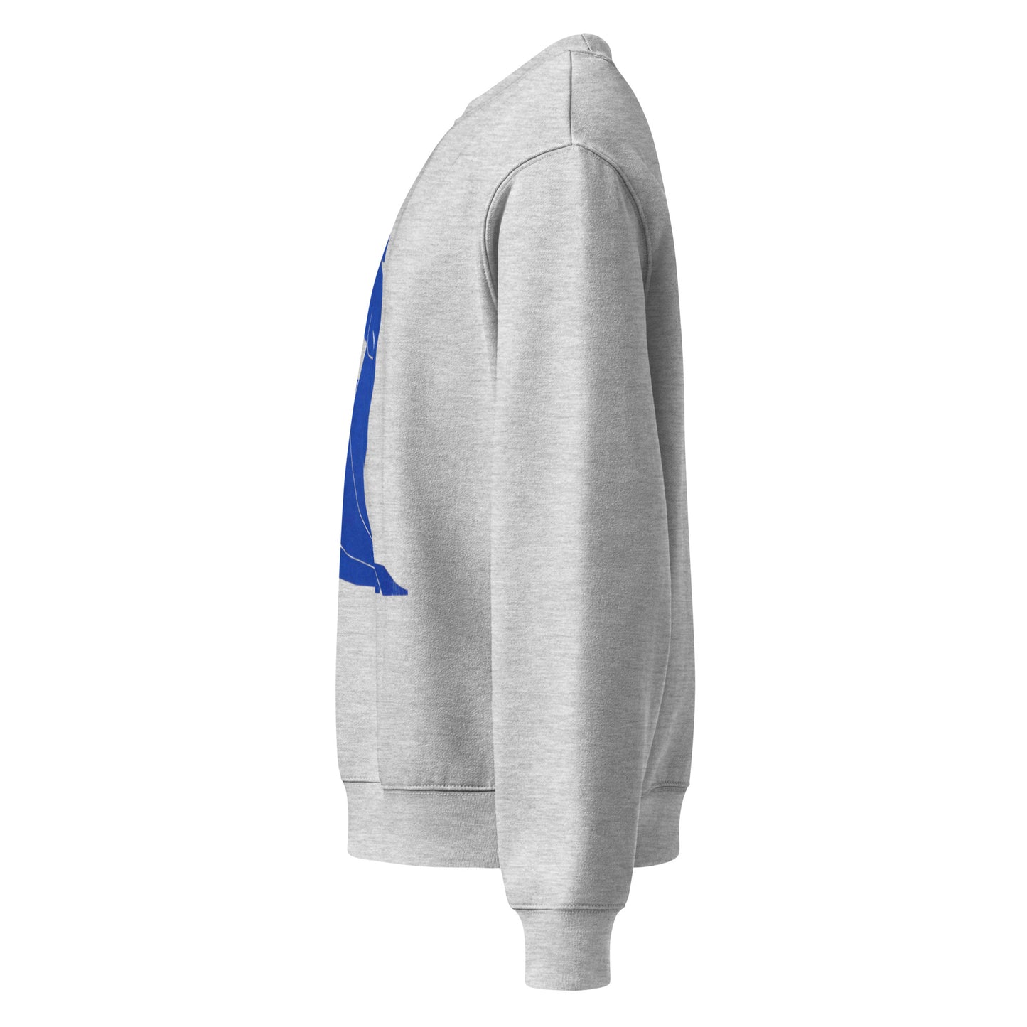 Oversized heavyweight sweatshirt - The Culturalife