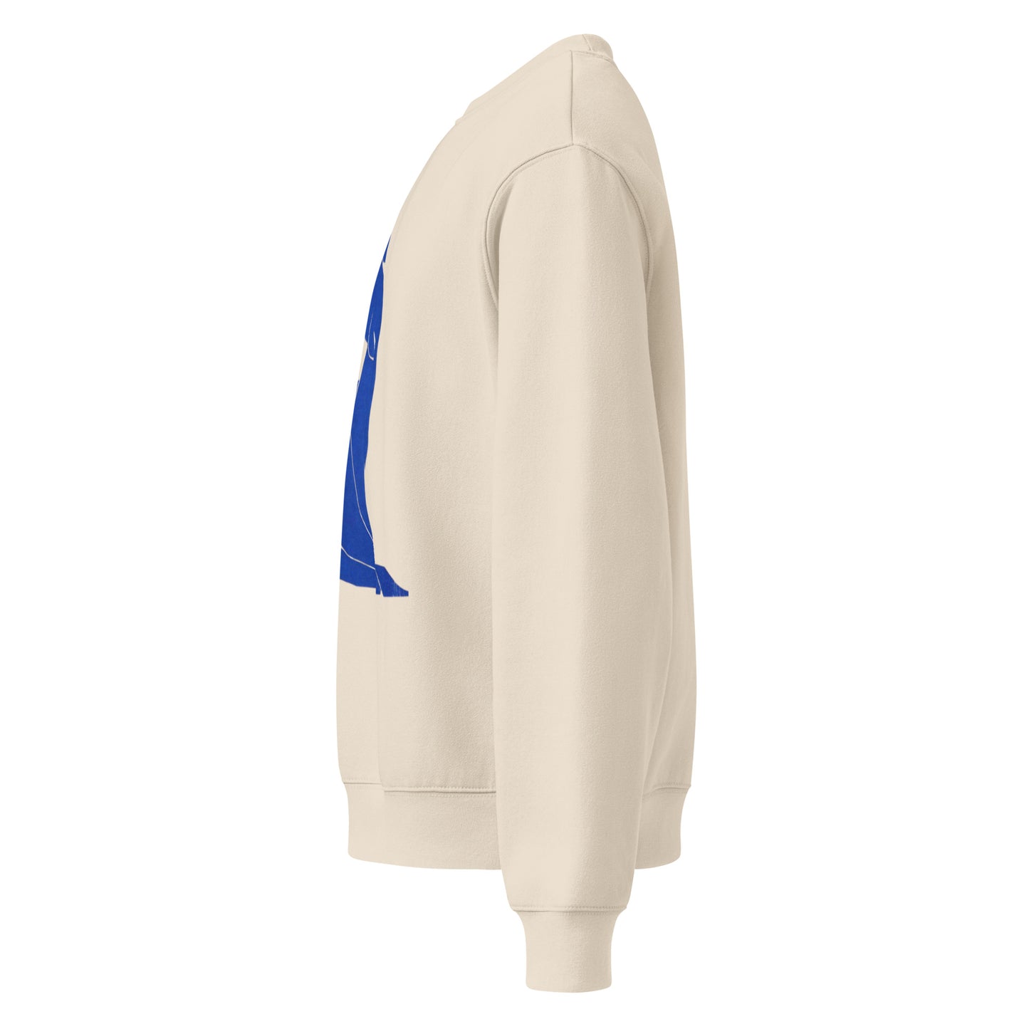 Oversized heavyweight sweatshirt - The Culturalife
