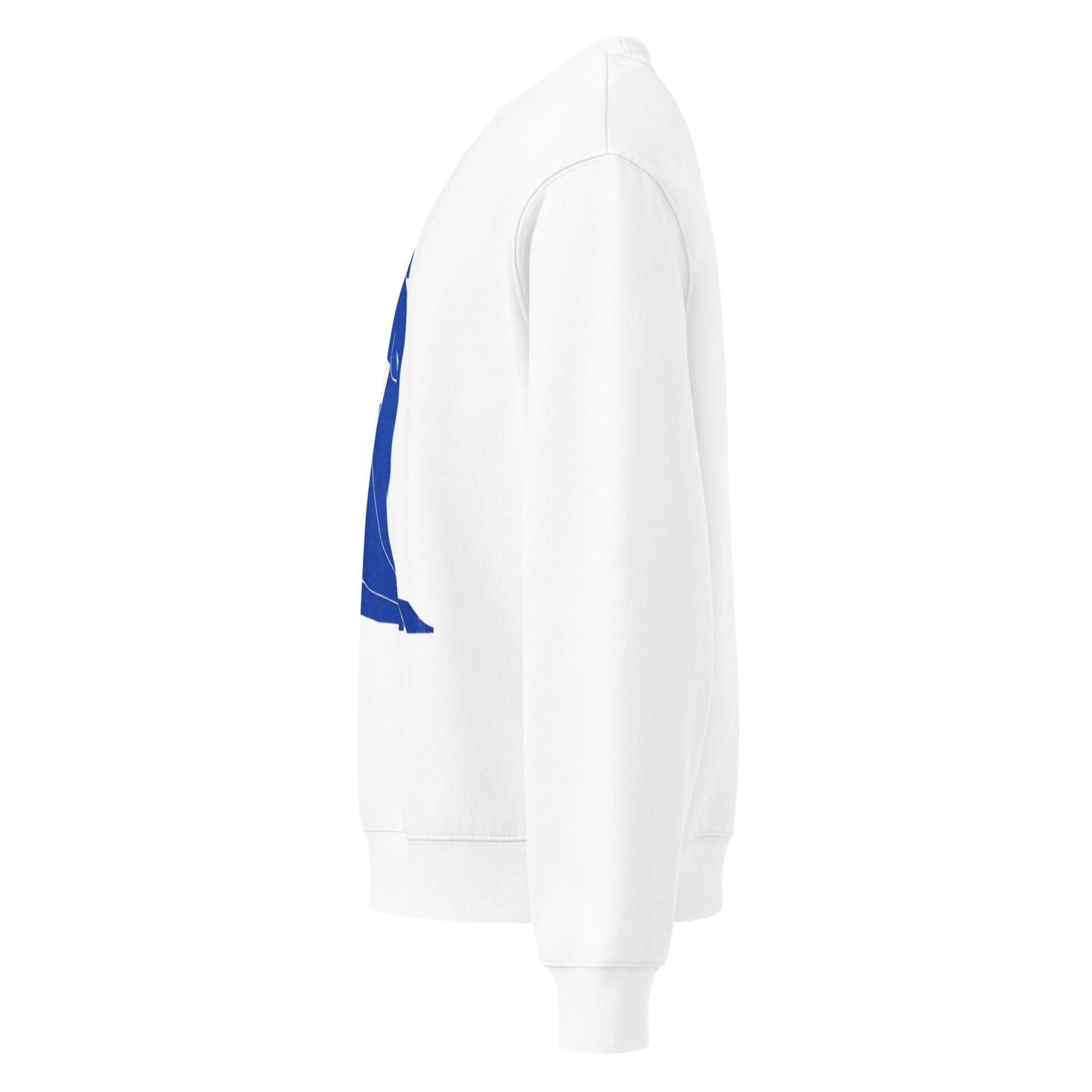 Oversized heavyweight sweatshirt - The Culturalife